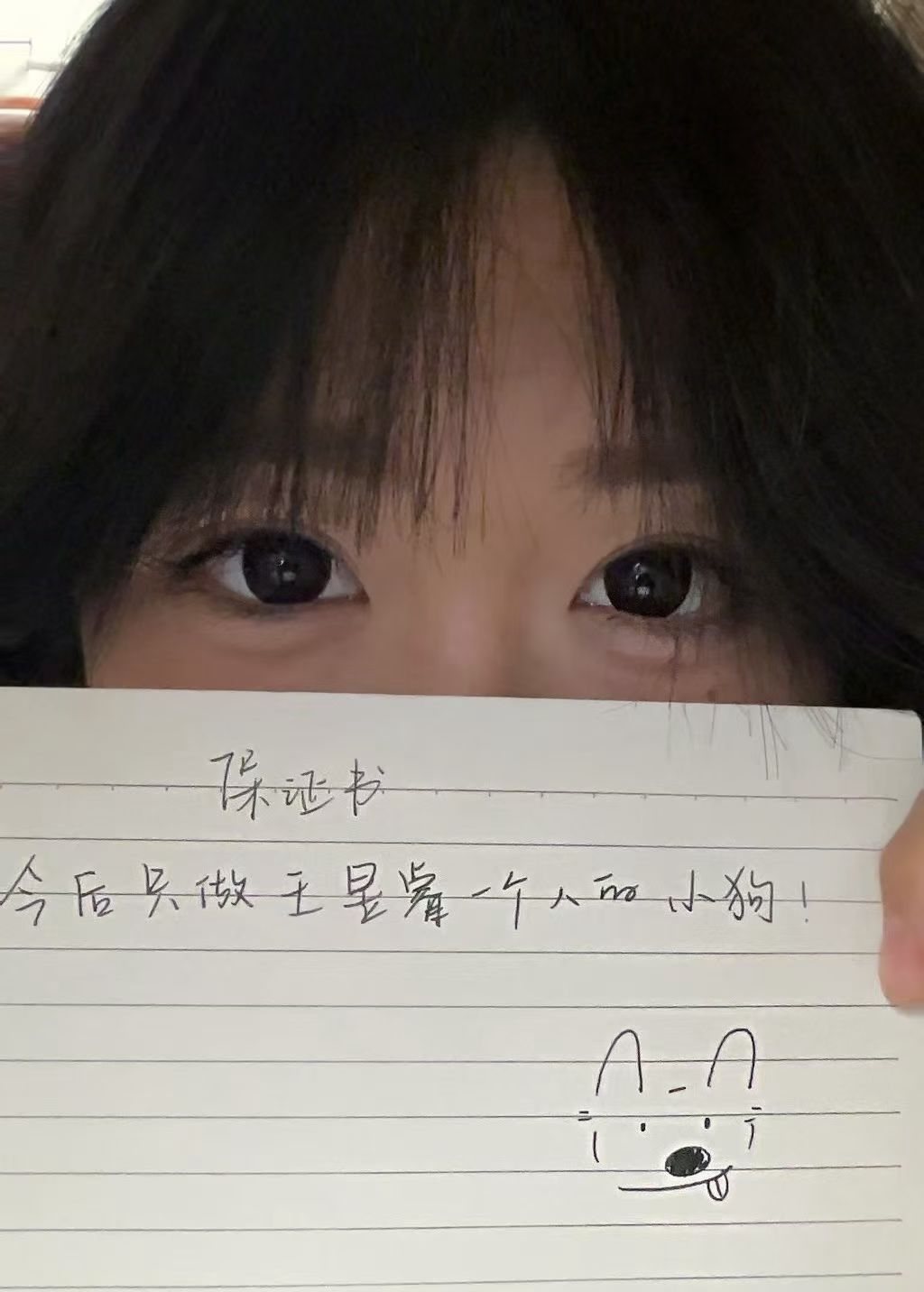 嘿嘿，我的小狗保证书